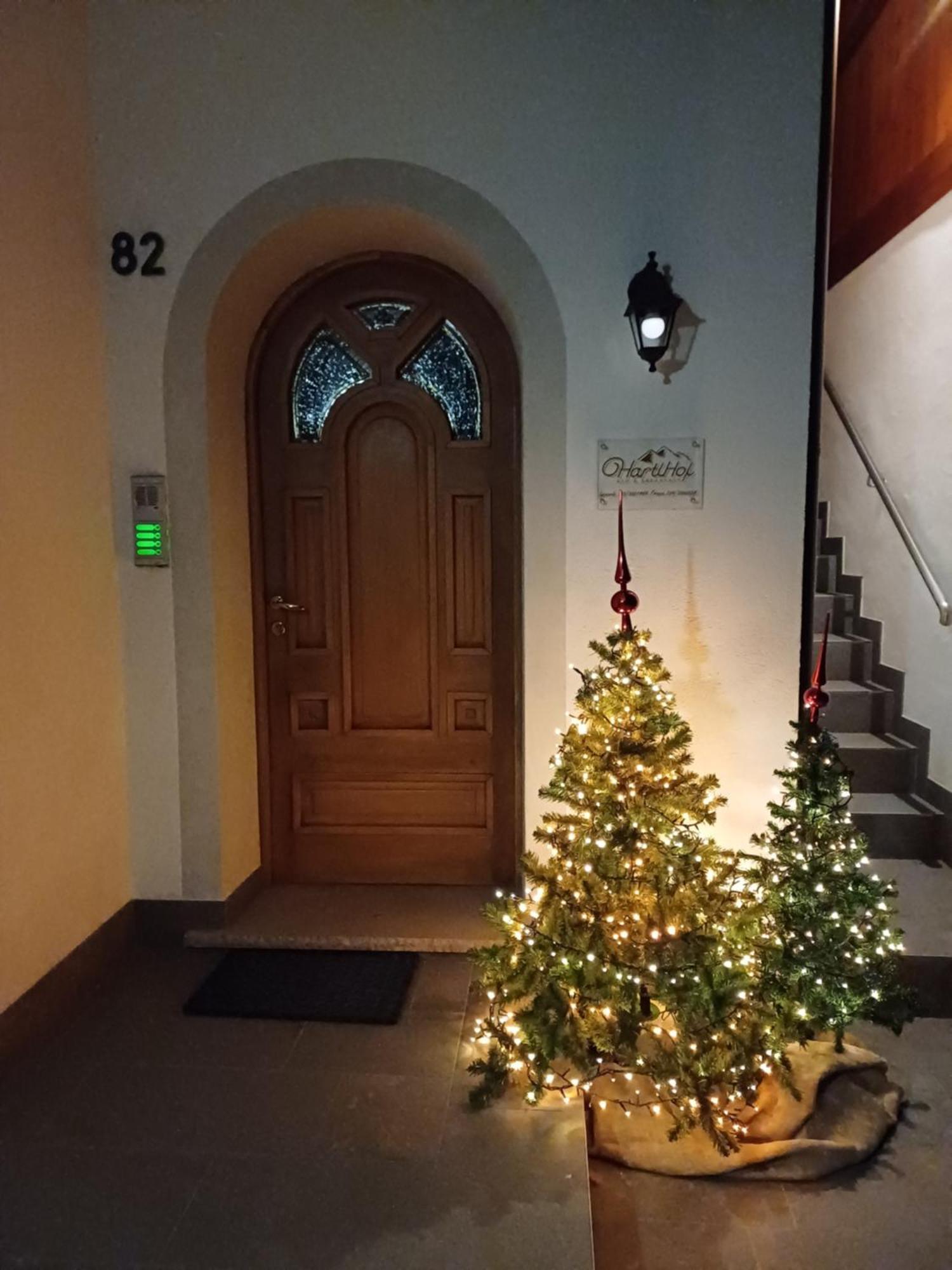 Hartlhof Apartment