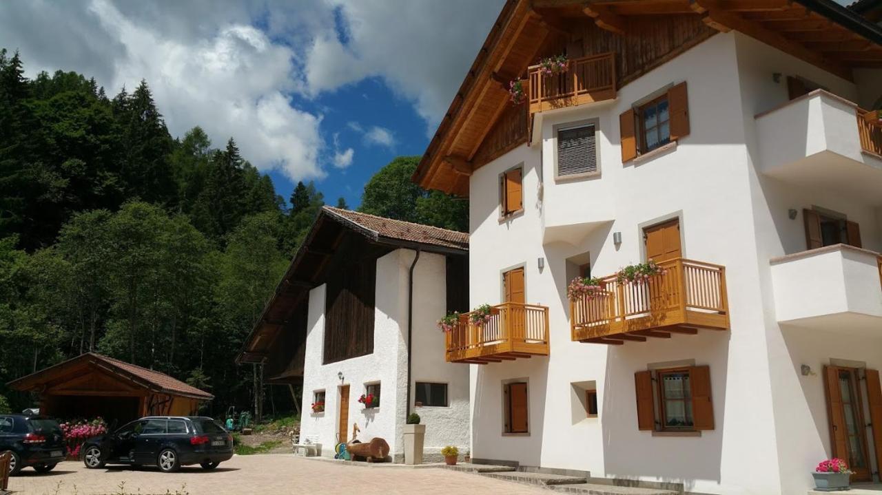 Apartment Hartlhof *