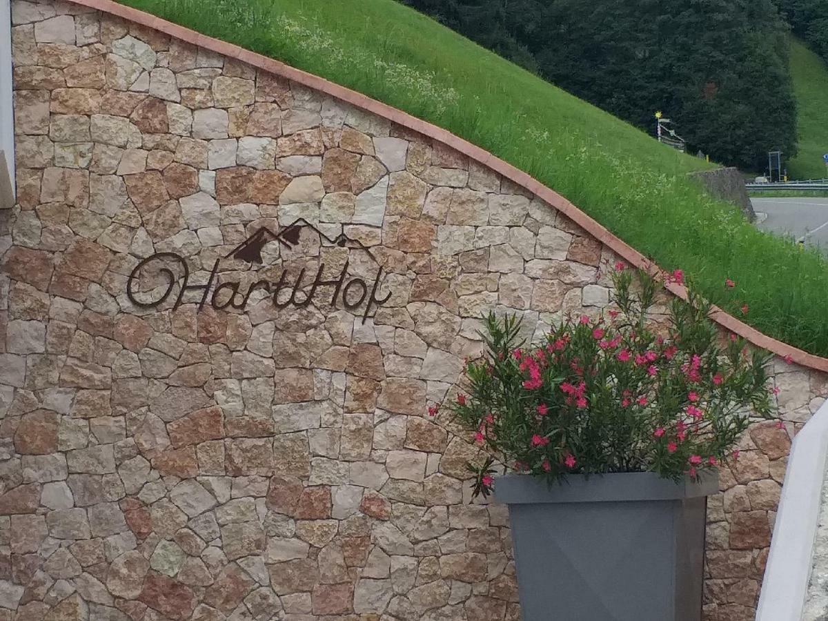 Apartment Hartlhof *